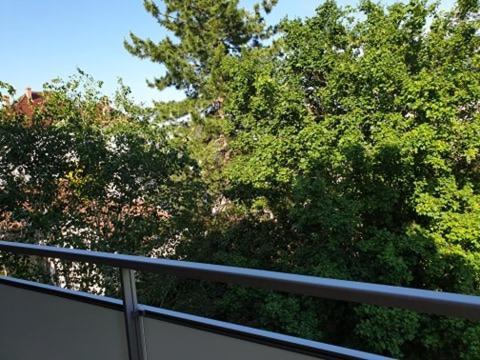 Appartement FOCH à COLMAR Esterno foto
